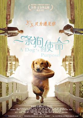 国产精品污双胞胎在线观看