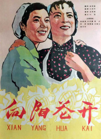 国产爱v